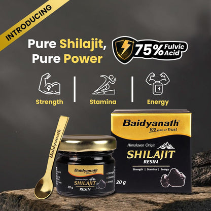 Baidyanath Himalayan Shilajit Resin 20g | Rich in Fulvic Acid|For Strength, Power & Stamina