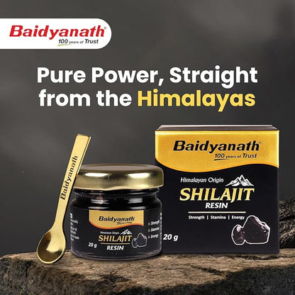 Baidyanath Himalayan Shilajit Resin 20g | Rich in Fulvic Acid|For Strength, Power & Stamina