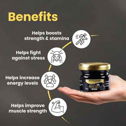 Baidyanath Himalayan Shilajit Resin 20g | Rich in Fulvic Acid|For Strength, Power & Stamina